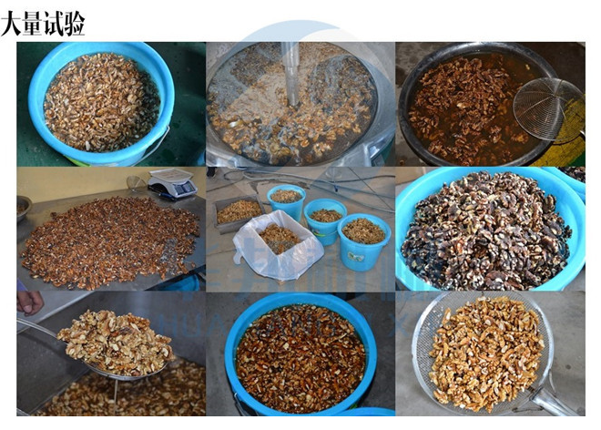 山東核桃仁去皮機(jī)