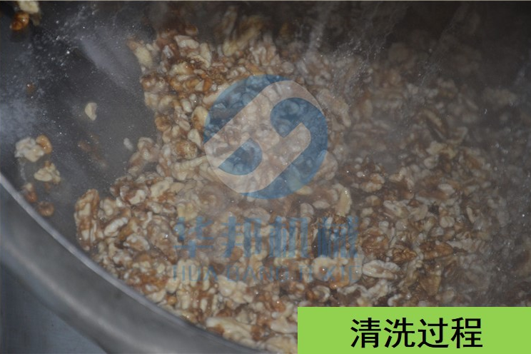 山東核桃仁去皮機(jī)