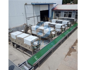 省時(shí)核桃仁去皮機(jī) 華邦機(jī)械