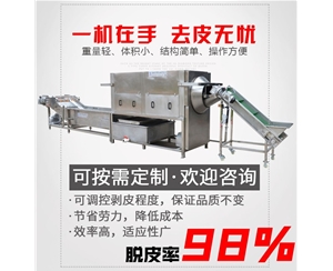 小型核桃仁去皮機