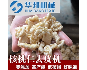 核桃仁脫皮機 華邦物理脫衣設(shè)備