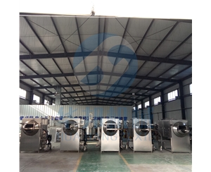 全自動 核桃仁去皮機(jī)