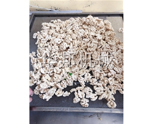 大型核桃仁去皮機(jī) 華邦機(jī)械