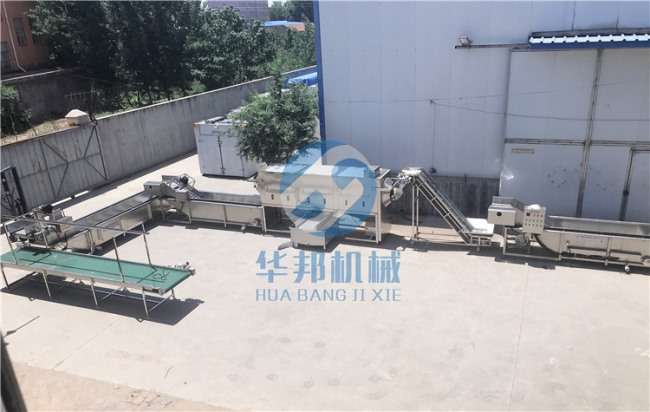 提供工藝 核桃仁脫衣機(jī)