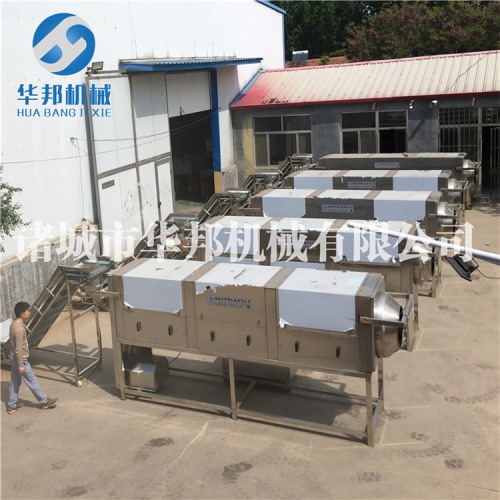 核桃仁去皮機(jī) 華邦機(jī)械核桃仁脫皮機(jī)視頻