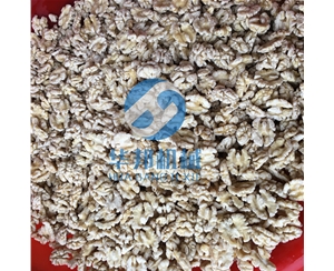 核桃仁脫衣機(jī) 小到大型核桃仁脫皮機(jī)