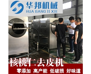 2019 核桃仁去皮機(jī)