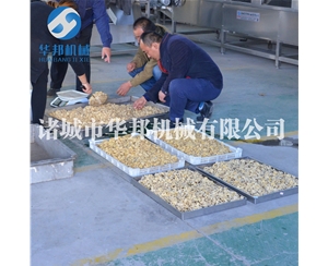 核桃仁脫皮機 華邦機械大批量核桃仁去衣設(shè)備