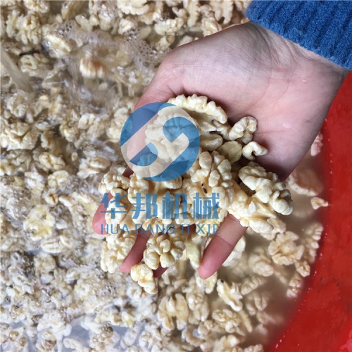 核桃仁去皮機 純物理一人操作核桃仁脫衣機