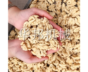 核桃仁脫皮機(jī) 華邦機(jī)械全自動(dòng)核桃仁去衣流水線