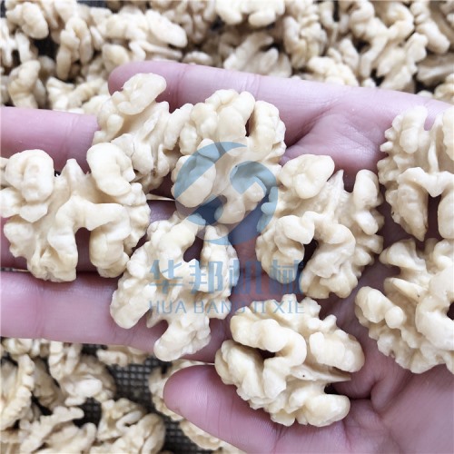 省300人工 核桃仁去皮機