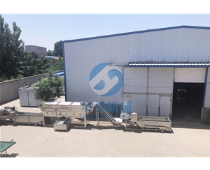 核桃仁加工設(shè)備流水線 華邦機械脫衣核桃設(shè)備