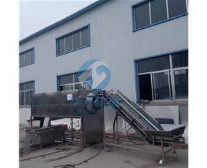 核桃仁去皮機(jī) 華邦機(jī)械核桃加工設(shè)備