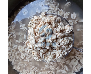 不用浸泡 2019新款核桃仁去皮機(jī)