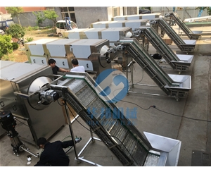 華邦核桃仁去皮設(shè)備 0添加核桃仁去皮機 去皮率高達98%