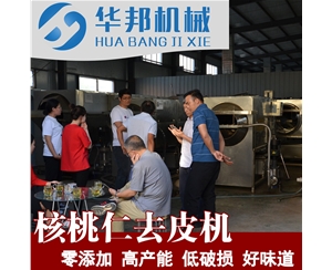 供應核桃仁去皮視頻 核桃粉生產(chǎn)去皮機