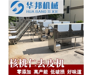 大型六角核桃仁去皮機(jī) 廠家直銷 廠房設(shè)計 核桃仁脫皮流水線