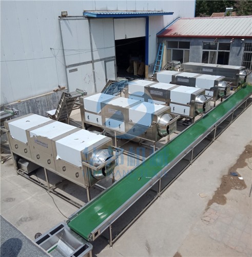 核桃仁去衣機(jī) 核桃乳核桃油生產(chǎn)設(shè)備