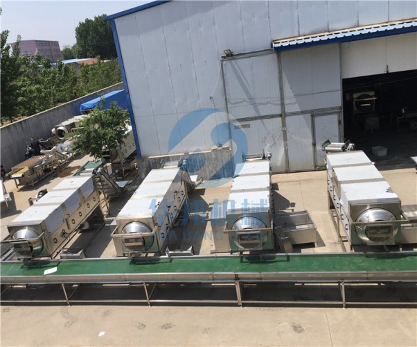 撫順核桃仁去皮機(jī)加工 華邦機(jī)械提供