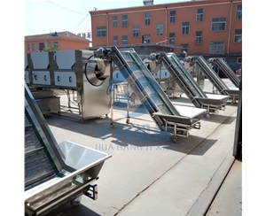 鮮核桃仁去皮機 兩年質保