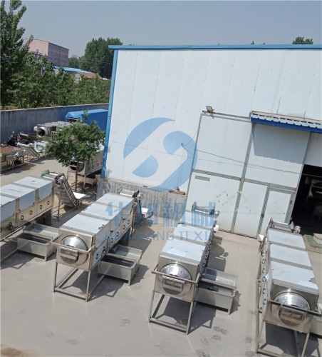 專車直達核桃仁去皮機 物理去衣設(shè)備