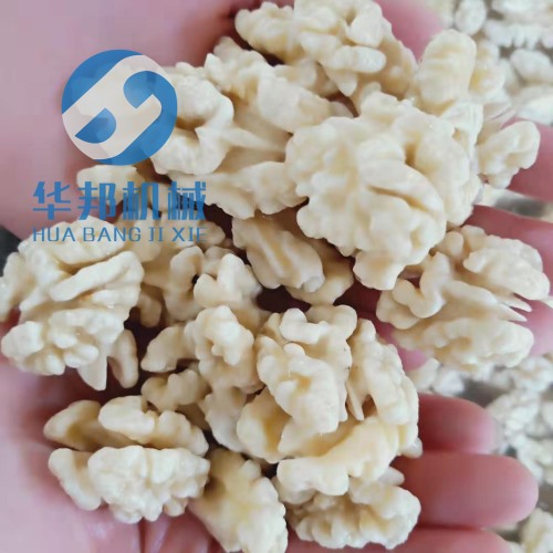核桃仁去皮機 用于桃仁苦衣去除