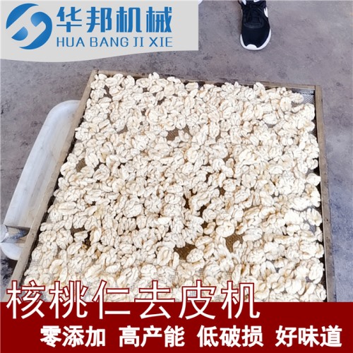 754凈水核桃仁去皮機(jī) 自來水去皮