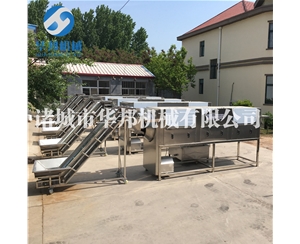 新疆大型核桃仁去皮流水線 廠方設(shè)計(jì)