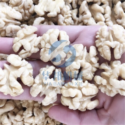 非化學(xué) 核桃仁去皮機(jī)