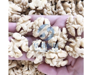 大型 核桃仁去皮機(jī)