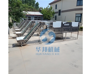 自動上料 核桃仁去皮機(jī)