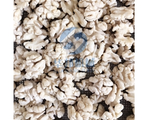 物理法 核桃仁去皮流水線(xiàn)