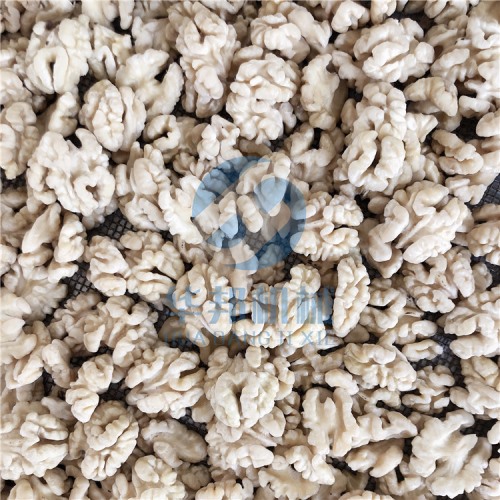 省280人核桃仁去皮機(jī)