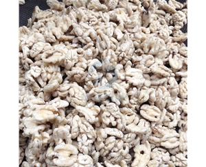 不加堿 核桃仁去皮機(jī)