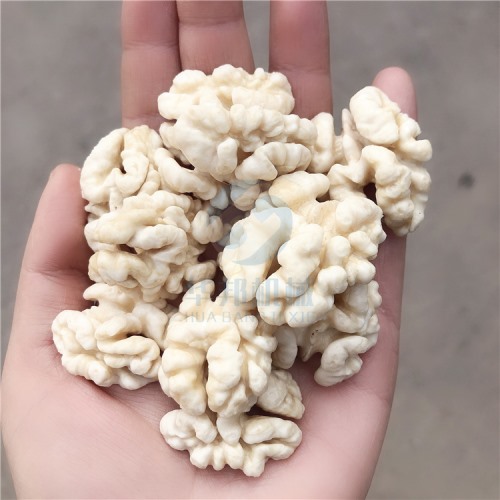 視頻 核桃仁去皮機