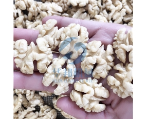 核桃仁去皮機 免費試用