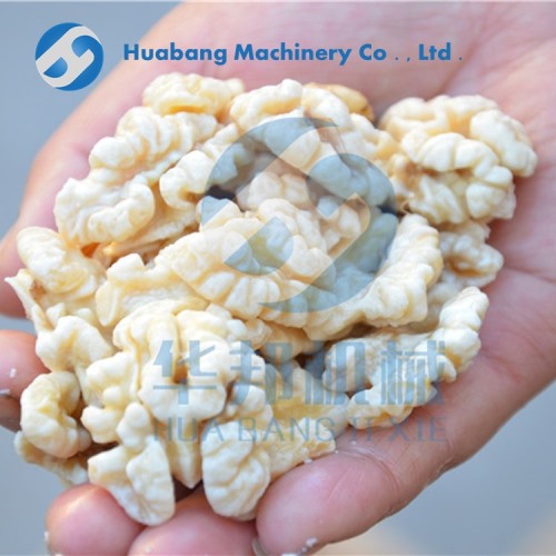 都在的 核桃仁去皮機(jī)