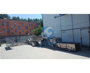 日產(chǎn)1-20噸核桃仁脫衣生產(chǎn)線 核桃仁去皮機 提供安裝