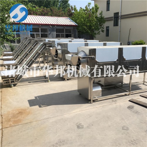 自動上料核桃仁去皮機 物理去皮機 連續(xù)操作