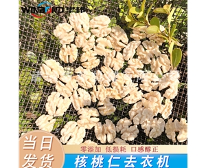 質(zhì)優(yōu)價廉 脫皮核桃仁機器 華邦核桃仁去皮機