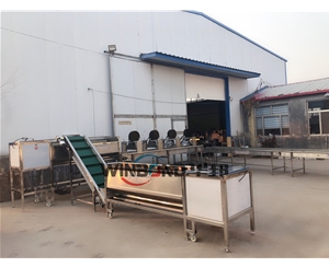 現(xiàn)貨銷售洗薯機(jī) 全自動(dòng)番薯清洗生產(chǎn)線 全國包郵