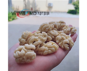 華邦升級核桃仁去皮機 全套核桃深加工設(shè)備