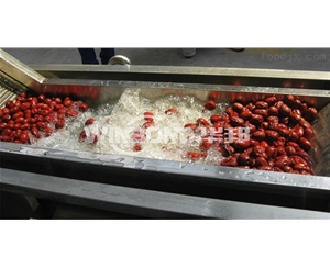 和田大棗清洗機 華邦機械 供應紅棗清洗設備