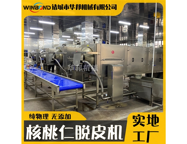 6米核桃仁去皮機(jī) 自動(dòng)過濾核桃仁去皮設(shè)備 華邦